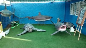 IMG_20190530_092512977